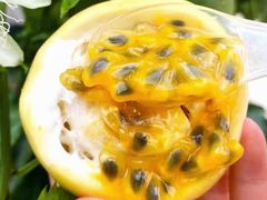 -昆明东站水果交易市场