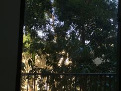 -海南热带海洋学院(三亚校区)