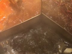 鲜毛肚-锅首鲜品火锅(鸳鸯店)