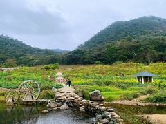 -广州市石门国家森林公园
