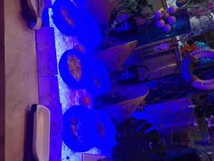 -长沙三景韦尔斯利酒店·Oval全日制餐厅自助餐