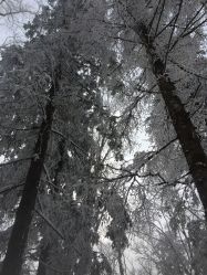 -大秃顶子山