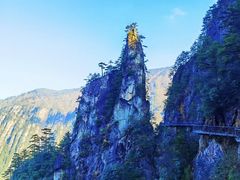 -大明山自然探索公园