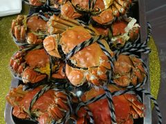 -乡乐园蟹庄·阳澄湖农家乐