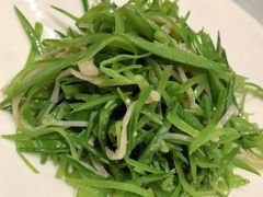 -席家花园(巨鹿花园店)