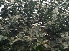 android_upload_pic-龙达温泉生态城