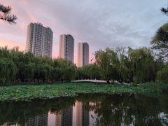 -满都海公园
