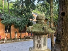 -天台山景区