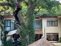 -普陀山雷迪森庄园