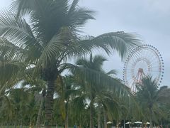 -芽庄珍珠岛游乐园