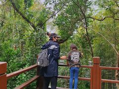 -上海佘山国家森林公园西佘山园