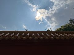 -昆明动物园
