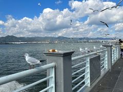 -海埂大坝