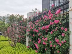 -黄浦路(地铁站)