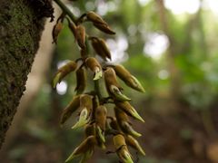 -清溪大王山森林公园