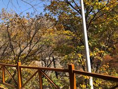 -大岭沟猕猴桃谷风景区