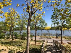 -东郊湿地公园