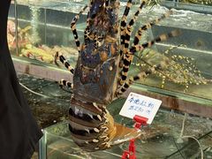 -南丫岛