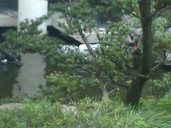 android_upload_pic-园林格兰云天大酒店-太极名厨中餐厅