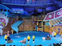 -烟台海昌鲸鲨海洋公园