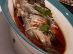 -百富源·海鲜辽菜(和平北大街店)