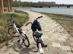 -丁香湖公园