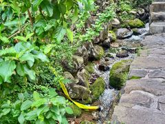 -MOJ coffee(瓯海泽雅水碓坑店)