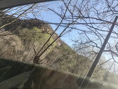 -白水寺森林公园