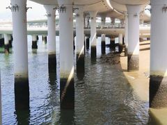 -演武大桥观景平台