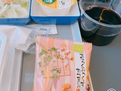 -全日本空输株式会社(上海办事处)