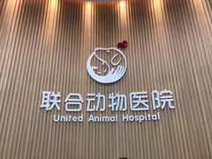 -联合动物医院(光谷诊疗中心)