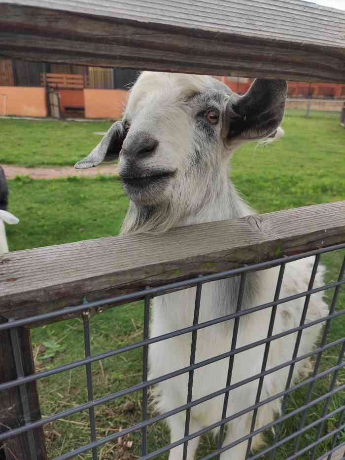 伊酷拉精灵农庄-"推荐理由:周末带宝宝出去郊游～今天天气.