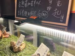 -滇野云南野生菌餐厅(陕西南路店)