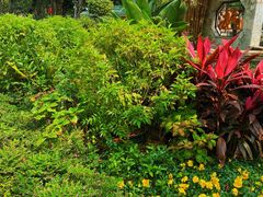 -荔湾湖公园
