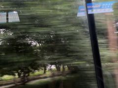 -杭州花家山庄