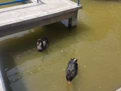 -森林公园(尖草坪区)