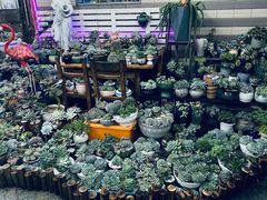 -杨厝六十六农庄农舍(杨厝路店)
