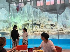 -帝企鹅自助餐厅•儿童岛•真企鹅(长隆企鹅酒店)