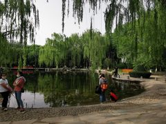 -玲珑塔公园