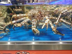 水产区-盒马鲜生(龙德广场店)