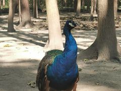 -昆山城市生态森林公园