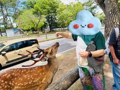 -奈良公园