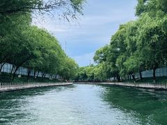-皇家御河游(紫御湾码头)