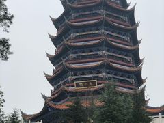 -铁山坪森林公园