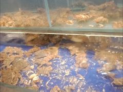 -甄品麦哲伦海鲜和牛自助(万达广场店)
