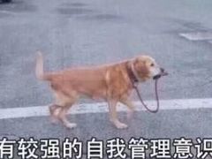 -福烤锦花(长乐路店)