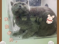 -瑞鹏宠物医院·微创内窥镜·骨外科·牙科(翠竹分院)