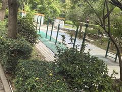 -滴水岩森林公园
