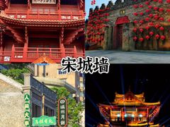 -鼎香皇高佬苏裹蒸粽