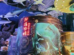 -烟台海昌鲸鲨海洋公园